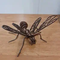 زنبور ۳ بعدی