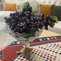 شاخه انگور تزیینی(مصنوعی)