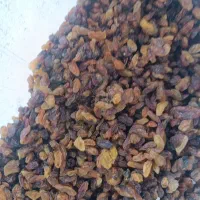 کیسه ای کشمش