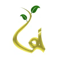 تور آرامشی در آگاهی سبز ــ گیلان