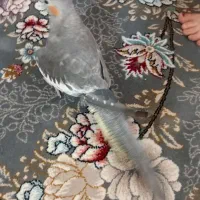 عروس هلندی  ومرغ عشق