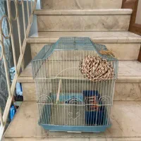 قفس پرنده همراه با جای ای و جای دانه