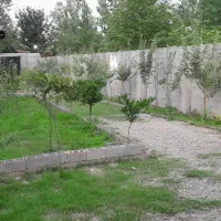 اجاره ویلا باغ