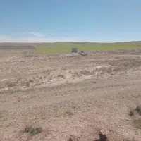 زمین-کشاورزی-دیمی
