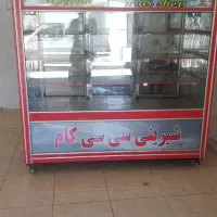 یخچال ویترینی مگنتی ۲ عدد ۱ عدد فر فلافلی