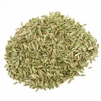 فروش رازیانه سبز همدان