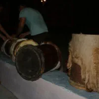 پوست دمام،پوست بز،سالامبر،سلمبر،پوست ساز و دف