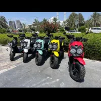 اجاره و رنت انواع موتور برقی