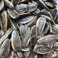 تخمه تازه