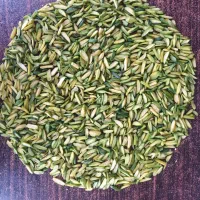 انواع مغز پسته