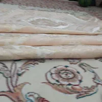 والان نو