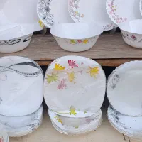 سرویس ارکوپال و دینو