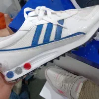 zx تراینر