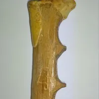 چاقو