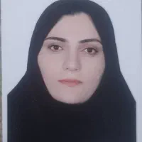 وکیل دادگستری