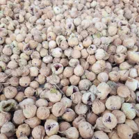فروش انجیر ارگانیک استهبان مستقیم از کشاورز