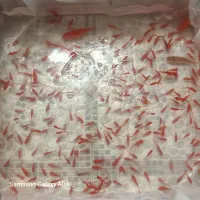 ماهی قرمز عمده و خرده فروشی