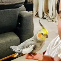 عروس‌هلندی‌گمشده‌اطراف‌حسابی‌جایزه‌۱۵۰۰۰۰۰‌ملیون
