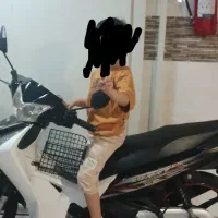 موتور ویو مدل احسان