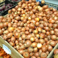 پیاز زرد و مرغوب ((قیمت شکن))