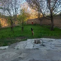 باغ ۳۰۰۰ متر ۱۰۰۰متر دیوار کشی کوهانی