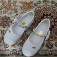 کفش مجلسی