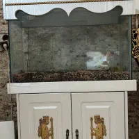 آکواریوم