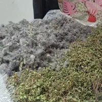 علف هر شوال پنصادتومن