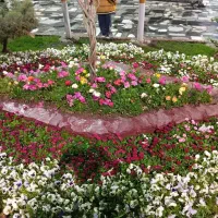 خدمات باغبانی