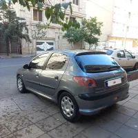 پژو ۲۰۶ استثنای خانگی