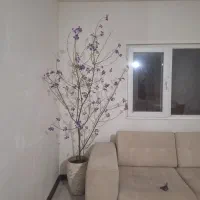 09053087676