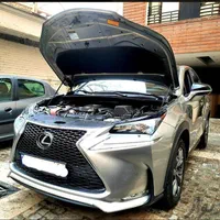 مرکز کارشناسی فنی و تشخیص رنگ خودرو(کارشناس سیار)