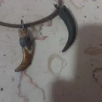 شاخ مار و دندان نیش پلنگ قدیمی