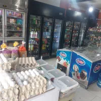 فروش کلیه لوازم پروتئینی