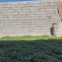 بلوک زنی صادقی ته پر و خالی