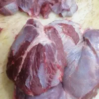 گوشت لاشه بوقلمون‌ زنجان (کامل) ۴۸۵