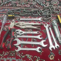 انبرقفلی وفرانسه کوچک