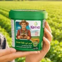 حال گلهای توی خونه ات رو خوب کن