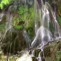 تور بیشه پوران