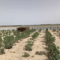 باغ-750-متری