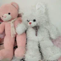 خرس بزرگ نو و مرتب