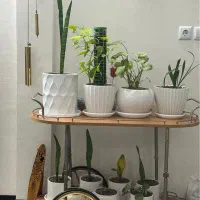 گل‌ها و گلدان‌ها