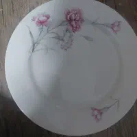 بشقاب گل میخک دو مارک متفاوت
