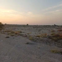زمین کشاورزی