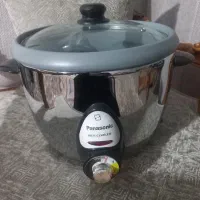 پلوپز پاناسونیک