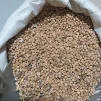 سایز بندی وسورتینگ