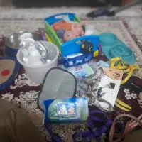 سگ پامر