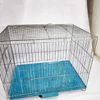 قفس پرنده