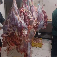 گوشت|خوردنی و آشامیدنی|کرج, شهرک بهارستان|دیوار