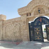 رزکان-نو-اکومال-بنفشه